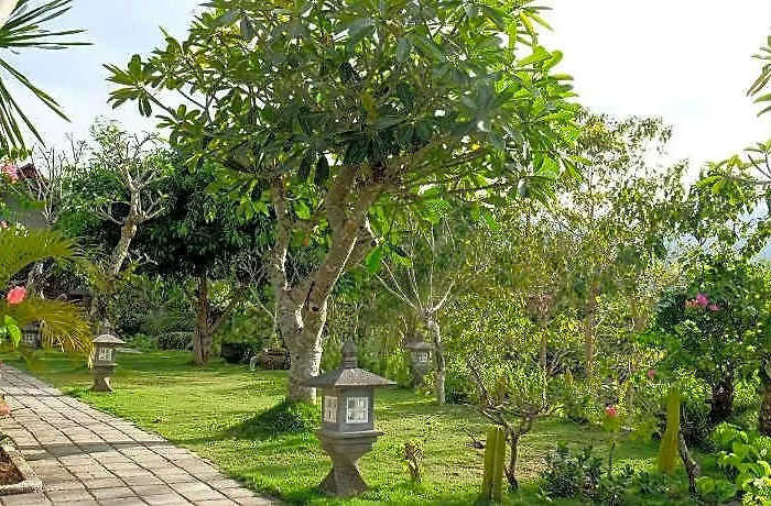 Kaje Polilit